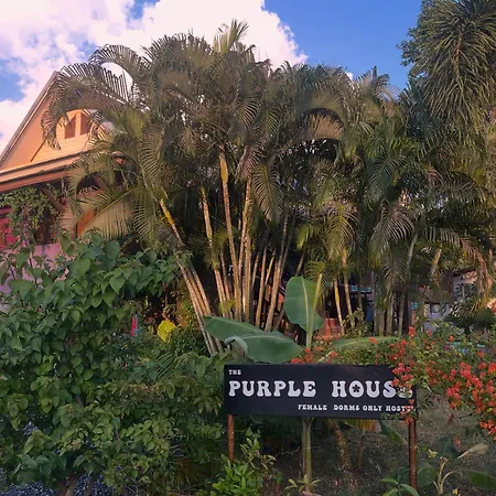 Purple House - Female Only Boutique Hostel-2